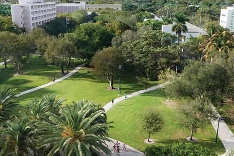 Campus Walkway